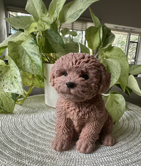 Dog Candle – Soy Wax